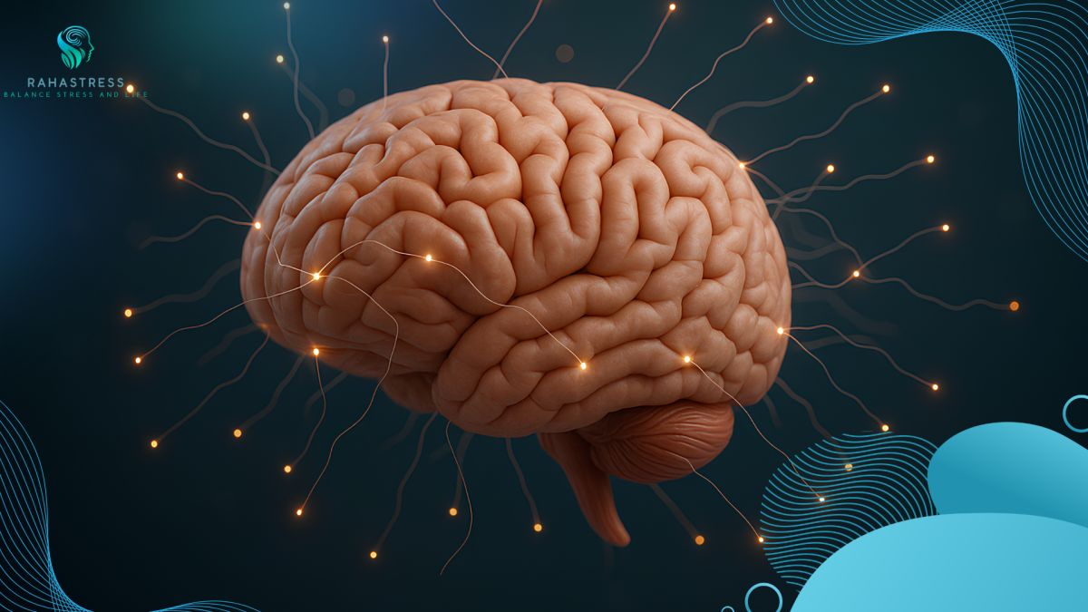 استرس چگونه مغز را از درون تغییر می‌دهد؟