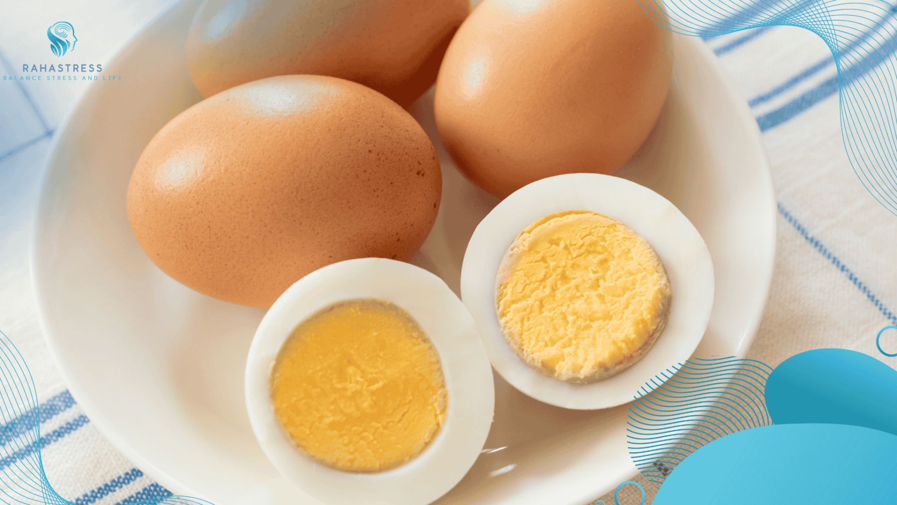 egg