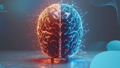 آیا می‌توانیم تنها با نیمی از مغزمان زندگی کنیم؟
