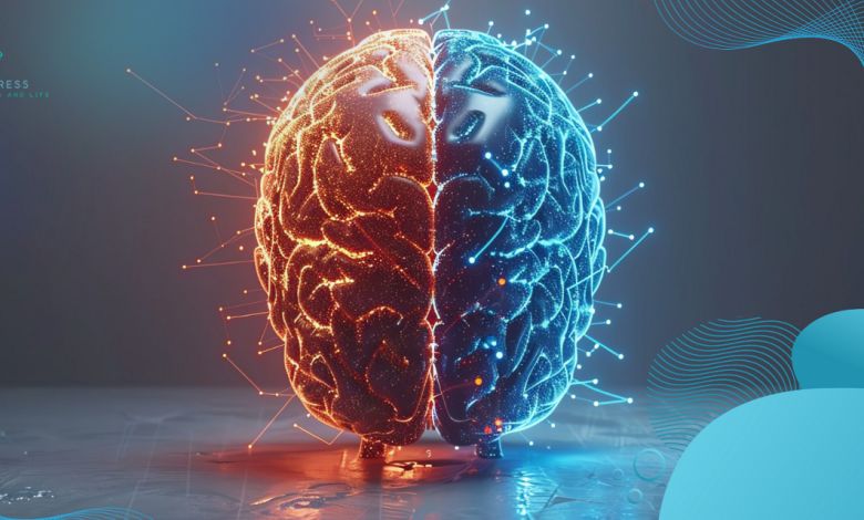 آیا می‌توانیم تنها با نیمی از مغزمان زندگی کنیم؟