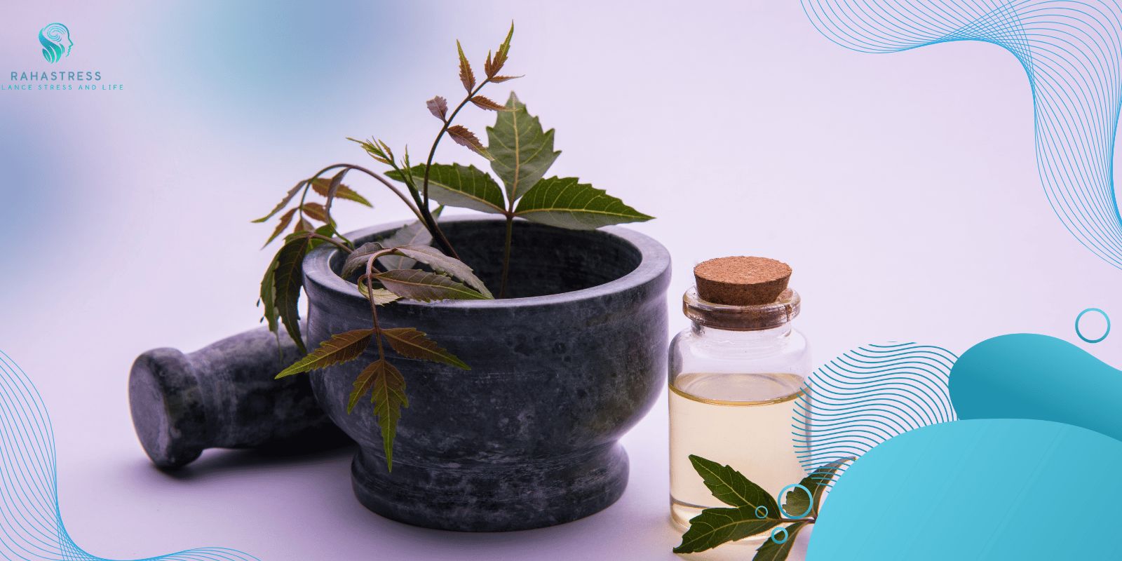 تقویت حافظه کوتاه مدت 22 گیاهان دارویی برای تقویت حافظه