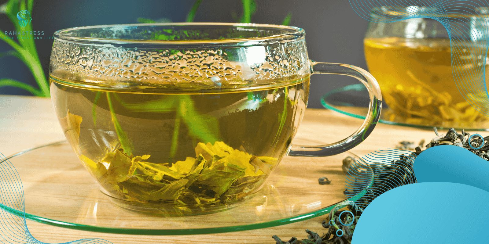 تقویت حافظه کوتاه مدت 10 ۵. چای سبز بنوشید