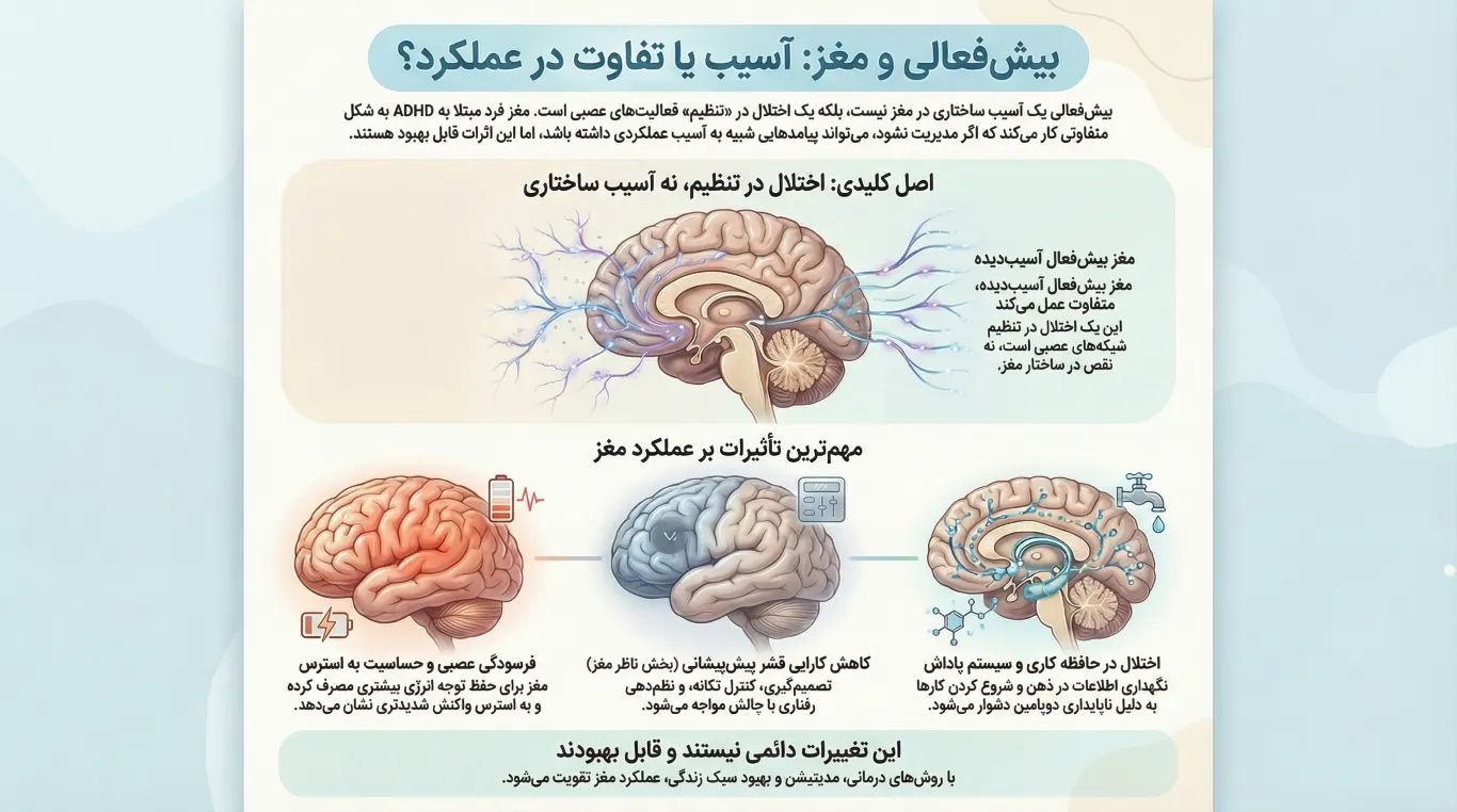 adhd brain damage
