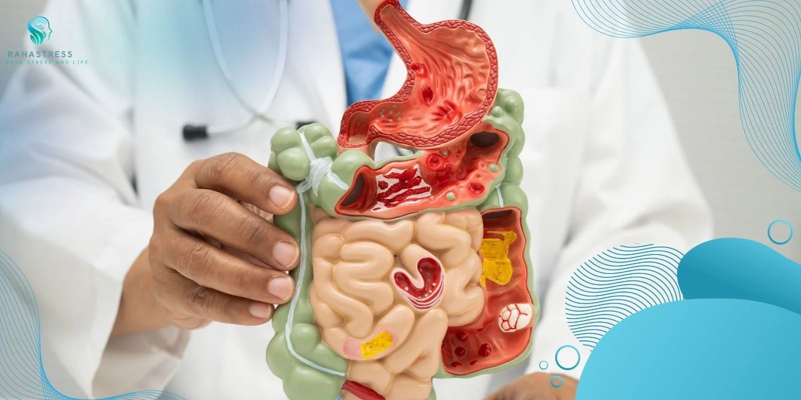 بزرگراه عصب واگ: مسیر مستقیم اضطراب به معده