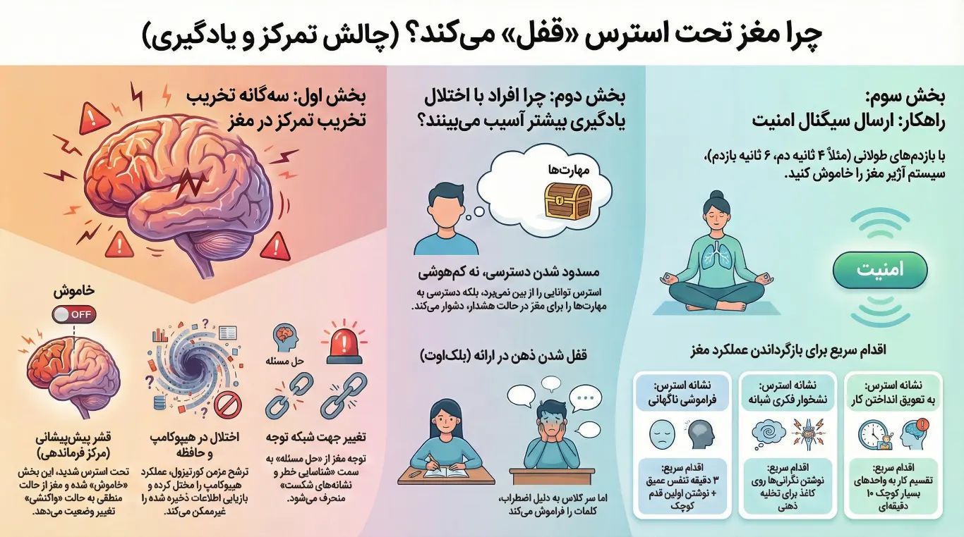 stress-from-the-brains-perspective