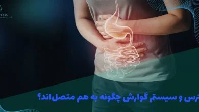استرس و سیستم گوارش چگونه به هم متصل‌اند؟