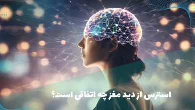 استرس از دید مغز