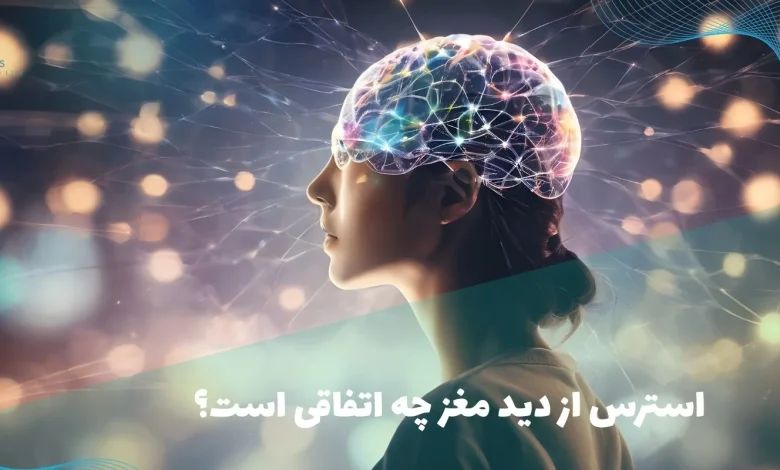 استرس از دید مغز